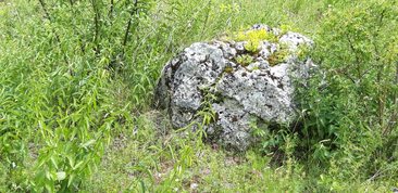 Parki i ogrody ziemi wieluńskiej - Załęczański Park Krajobrazowy - jeden z najpiękniejszych parków w Polsce, bo otulający zakole Warty